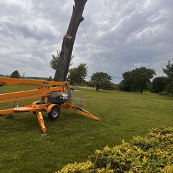 Cordell tree Service