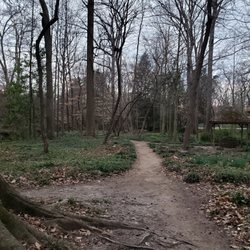 Lullwater Conservation Park