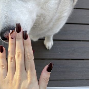 Mimosa Nails and Waxing - November fill ft my husky - Nail Salons Near Me - Arlington, Virginia