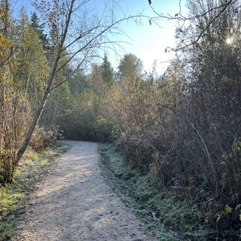 Mercer Slough Environmental Educational Center - Fresh shredded wood chips - Venues & Event Spaces Near Me - Bellevue, Washington Mercer Slough Environmental Educational Center - Fresh shredded wood chips - Venues & Event Spaces Near Me - Bellevue, Washington