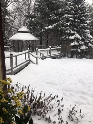 Porcupine Bed & Breakfast by null