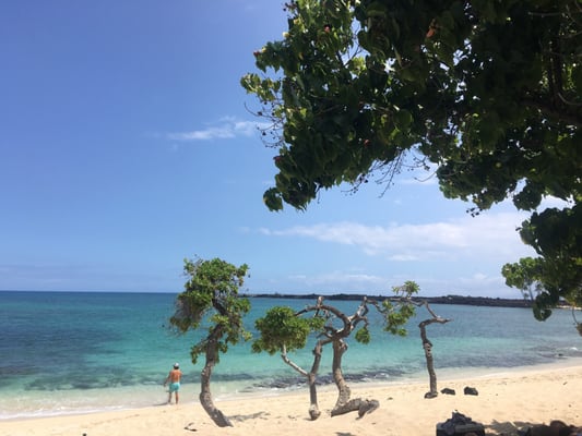 Makalawena Beach by null