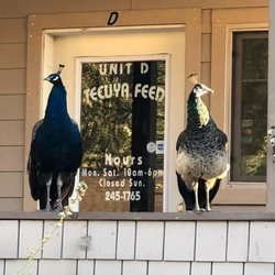 Tecuya Feed & Animal Supply