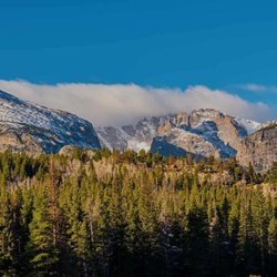 Bear Country Septic Services