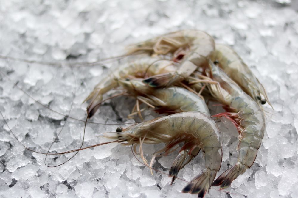 LOCALS SEAFOOD Updated September 2024 17 Photos & 14 Reviews 1209