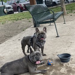 White Rock Lake Dog Park