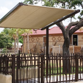 Southern Shade Structures - a giraffe in a zoo enclosure - Architects Near Me - Houston, Texas Southern Shade Structures - a giraffe in a zoo enclosure - Architects Near Me - Houston, Texas