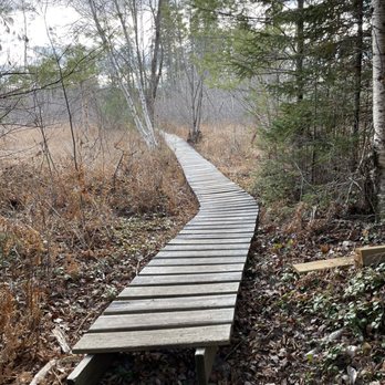 Holt Pond Preserve - Boardwalk - Parks Near Me Holt Pond Preserve - Boardwalk - Parks Near Me