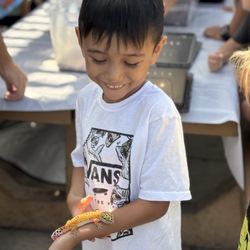 Sage Oak Charter Schools