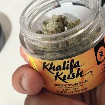Planet 13 Las Vegas - Cannabis Dispensaries Near Me - Las Vegas, Nevada Planet 13 Las Vegas - Cannabis Dispensaries Near Me - Las Vegas, Nevada