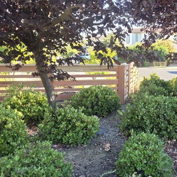 D.A.D Fencing - Fences & Gates Near Me - Vacaville, California D.A.D Fencing - Fences & Gates Near Me - Vacaville, California