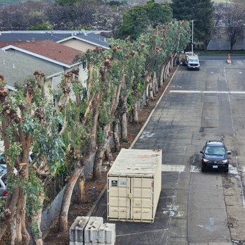 West Wind Tree Care - Reduced eucalyptus trees away from homes and parking lot. - Tree Services Near Me - San Jose, California West Wind Tree Care - Reduced eucalyptus trees away from homes and parking lot. - Tree Services Near Me - San Jose, California