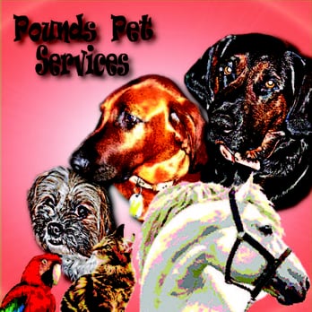 Pounds Pet Grooming - Pet Groomers Near Me - Edinboro, Pennsylvania Pounds Pet Grooming - Pet Groomers Near Me - Edinboro, Pennsylvania