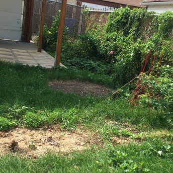 G. Ramirez Landscaping - Backyard Before - Landscaping Near Me - Des Plaines, Illinois
