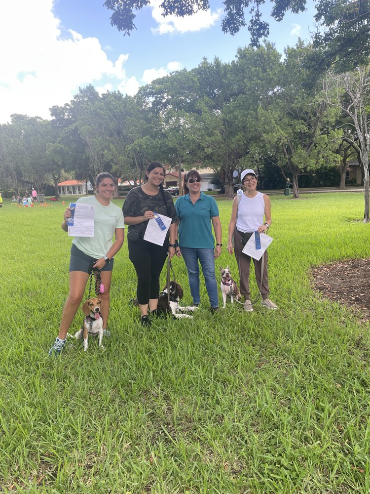 Doggie Days Image