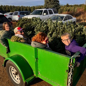 Alpine U-Cut - Christmas Trees Near Me - Bremerton, Washington