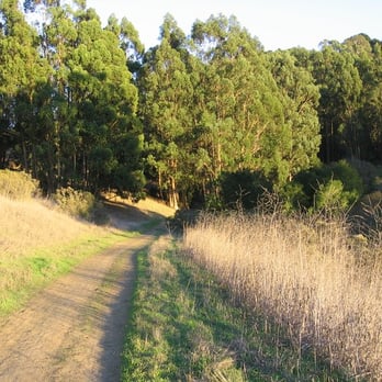 Tilden Regional Park - Parks Near Me - Berkeley, California