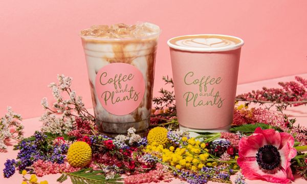 Coffee and Plants by null