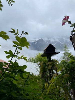 Gimmelwald by null