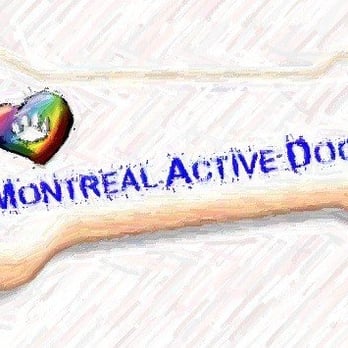 Montreal Active Dogs - Pet Services Near Me - Montreal, Quebec Montreal Active Dogs - Pet Services Near Me - Montreal, Quebec
