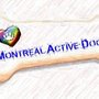 Montreal Active Dogs
