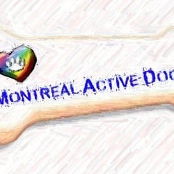 Montreal Active Dogs