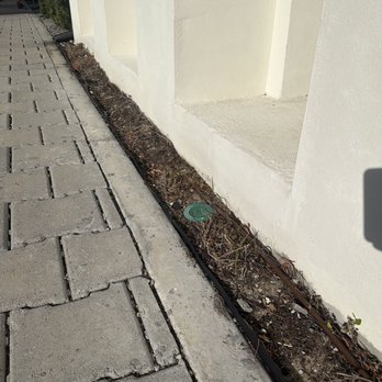 Creative Edge Lawn & Landscape - Lawn Services Near Me - Sanford, Florida Creative Edge Lawn & Landscape - Lawn Services Near Me - Sanford, Florida