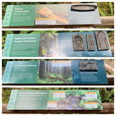 Jedediah Smith Redwoods State Park by null