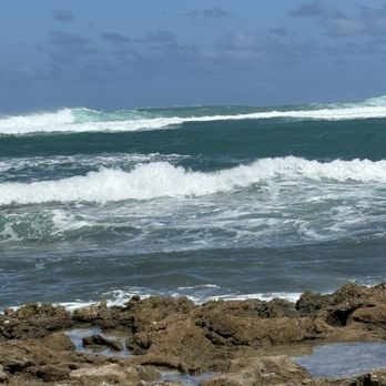 Hawaii Turtle Tours - Turtle bay beach - Tours Near Me - Honolulu, Hawaii