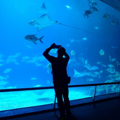 National Museum of Marine Biology & Aquarium by null
