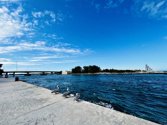 Bal Harbour Beach by null