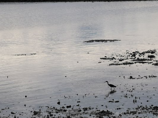 Lagen, El Nido by null