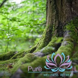Pure Lotus Wellness Retreat - Embrace Mother Nature