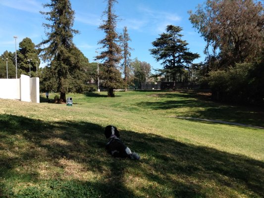 CHEVIOT HILLS RECREATION CENTER - Updated March 2025 - 171 Photos & 74 ...