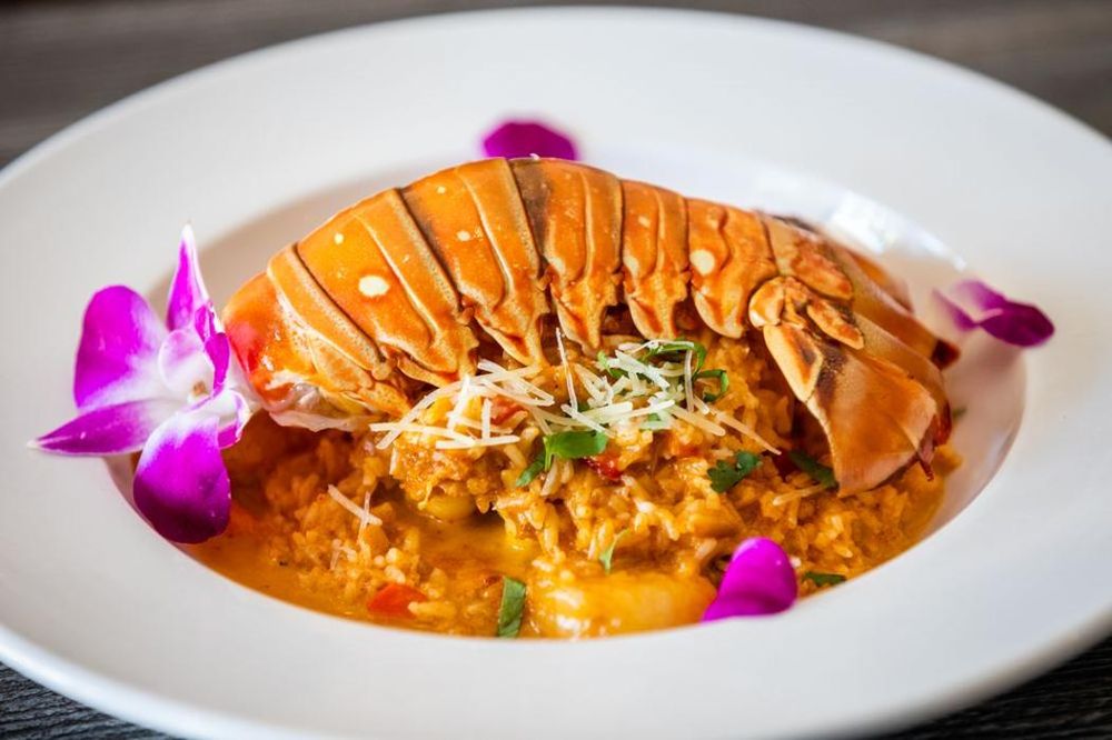 Ceviche Arigato