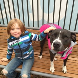 Paws To The Ground - A little animal shelter love!