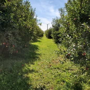 Keller's Farmstand - Pick Your Own Farms Near Me - Oswego, Illinois