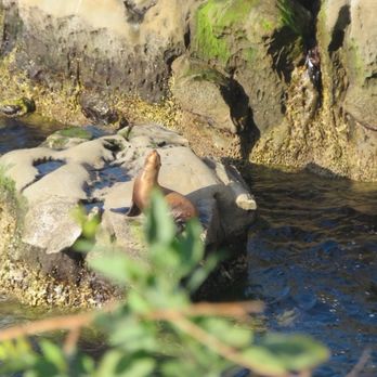 Coast Walk Trail - Hiking Near Me - San Diego, California
