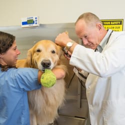 Newport Animal Hospital - We know your pets are special. We think their healthcare should be, too.