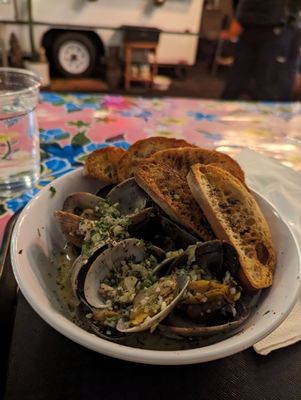 Night Owl PNW by null