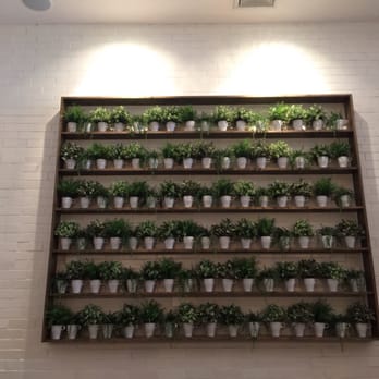Prince Tea House - Wall decoration. - Tea Rooms Near Me - Flushing, New York