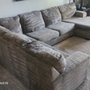 Photo of Carpet Monkey