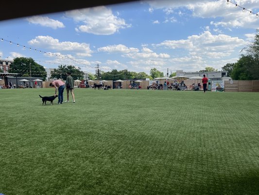 Fetch Park O4W by null