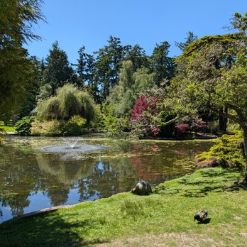 Beacon Hill Park - Parks Near Me - Victoria, British Columbia