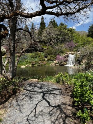 Red Butte Garden and Arboretum by null