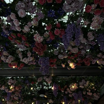 Bar La Rue - Flower roof - Bars Near Me - Chicago, Illinois