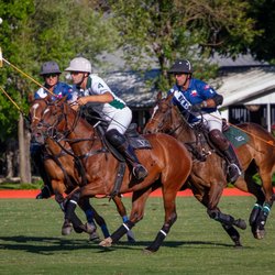 Houston Polo Club