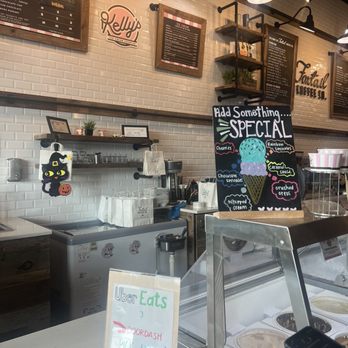 Foxtail Coffee - Coffee & Tea Near Me - Carrollwood, Florida Foxtail Coffee - Coffee & Tea Near Me - Carrollwood, Florida