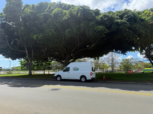 Aloha Brew Coffee Bar Waipio
