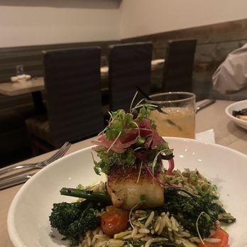 TAVERNA - Fish special of the day - Italian Near Me - Jacksonville, Florida TAVERNA - Fish special of the day - Italian Near Me - Jacksonville, Florida